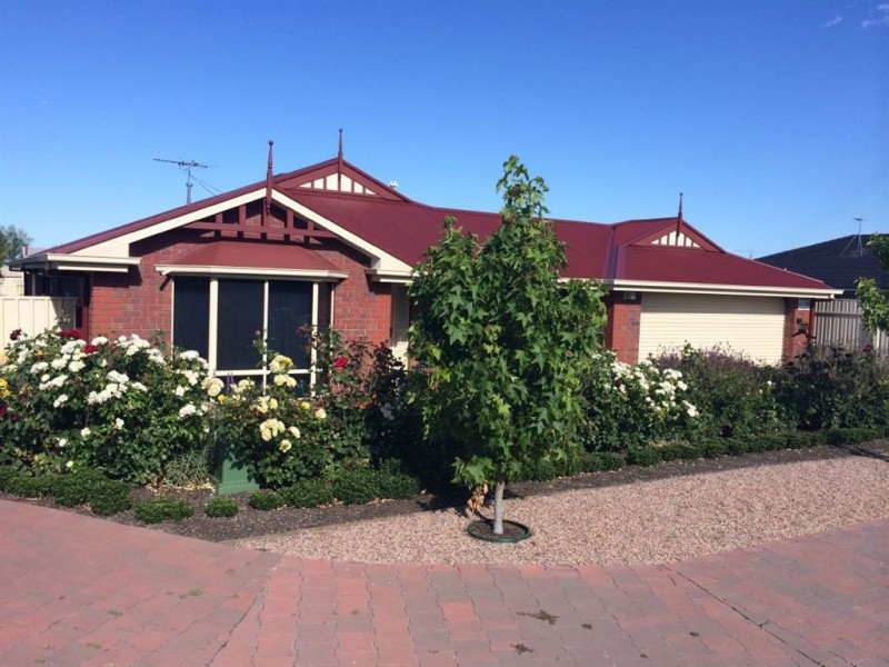 24 Borrillo Avenue, Newton SA 5074