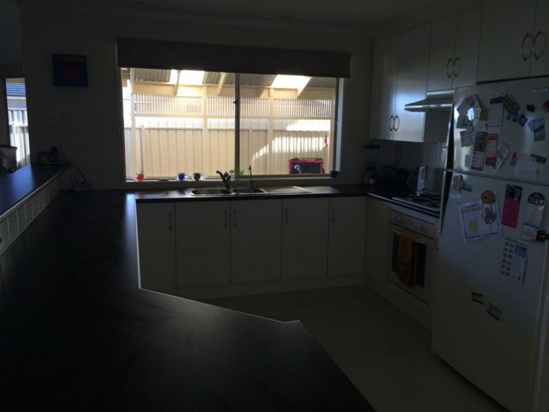 24 Borrillo Avenue, Newton SA 5074