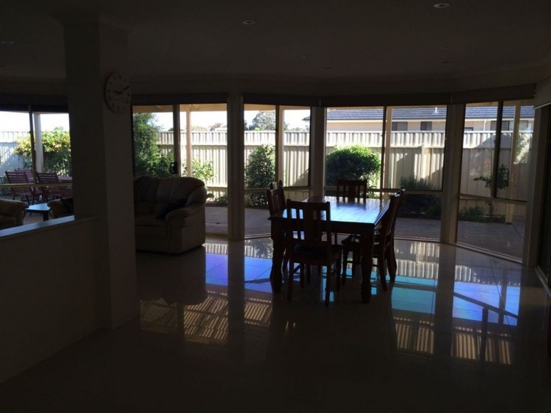 24 Borrillo Avenue, Newton SA 5074