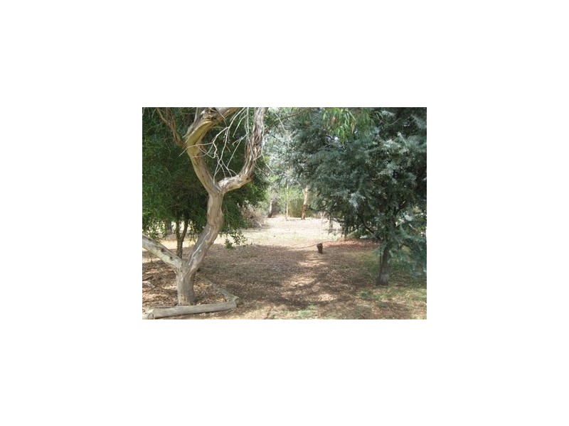 Lot 14 Elizabeth Street, Manoora SA 5414