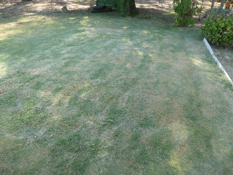 Lot 14 Elizabeth Street, Manoora SA 5414