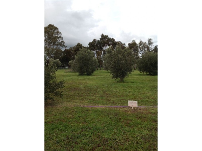 14 Mill Lane, Auburn SA 5451
