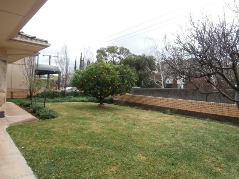 5 Carey Street, Magill SA 5072