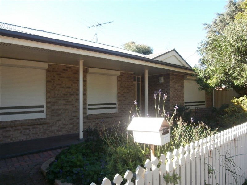 49 Colton Avenue, Magill SA 5072