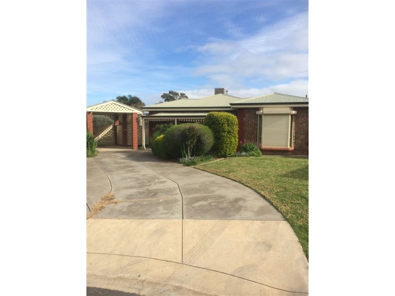 40 Richland Road, Newton SA 5074
