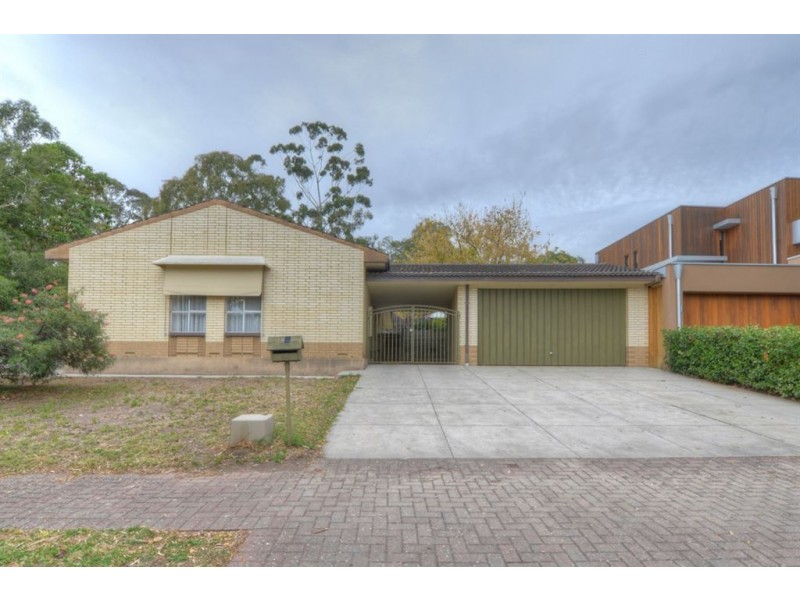64 Lockwood Road, Burnside SA 5066