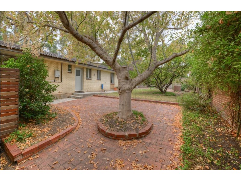 64 Lockwood Road, Burnside SA 5066