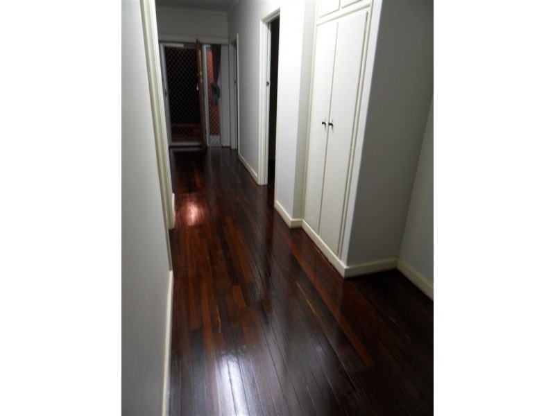 50 Windsor Ave, Magill SA 5072