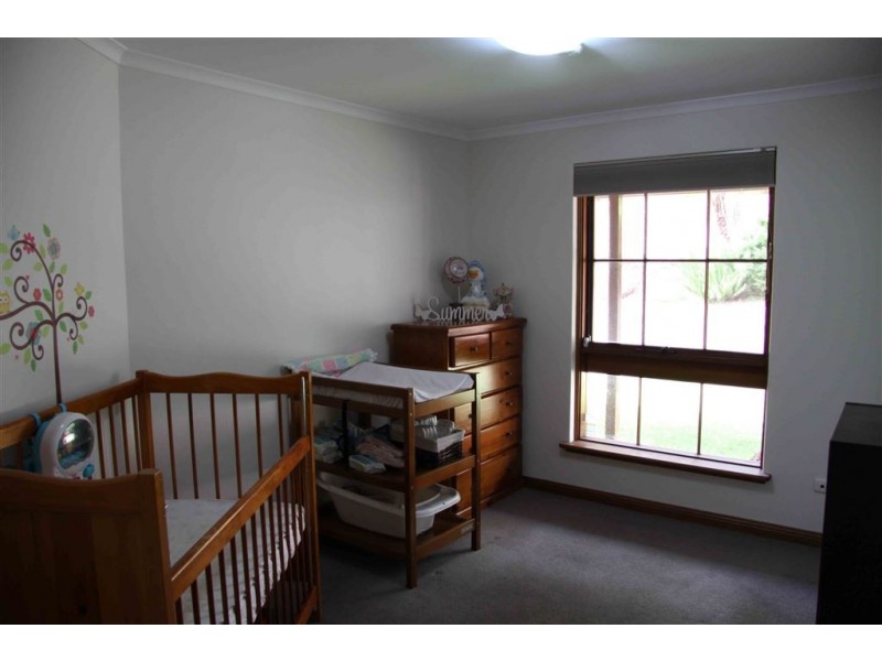 16 Grevillea Drive, Athelstone SA 5076