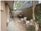 9/610 Magill Road, Magill SA 5072