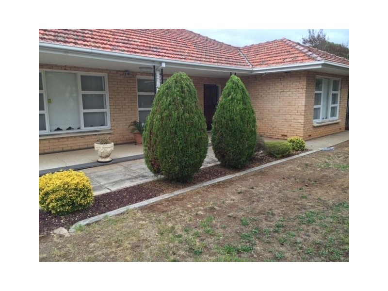 27 Nora Street, Maylands SA 5069