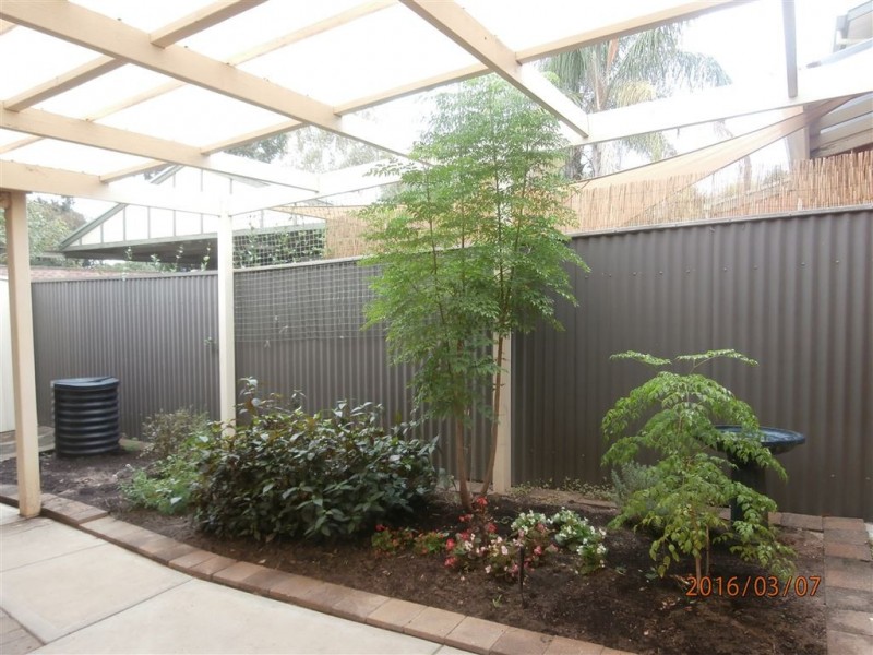 20b Clifton St, Maylands SA 5069