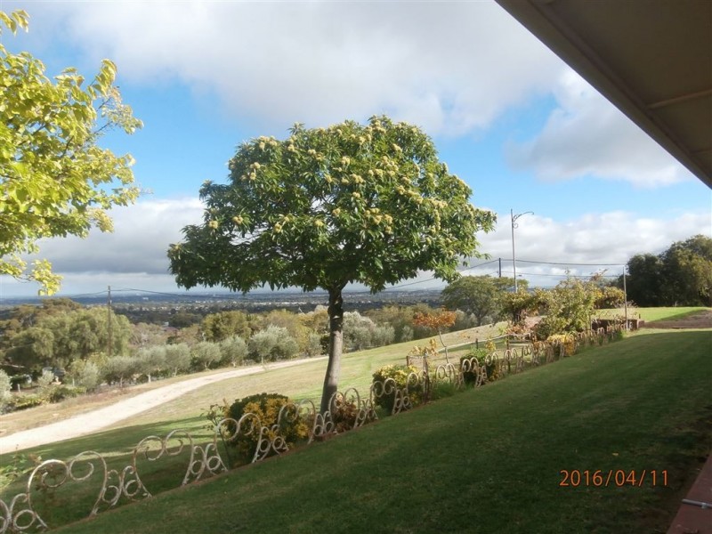 38 Norton Summit Road, Teringie SA 5072