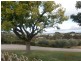 38 Norton Summit Road, Teringie SA 5072