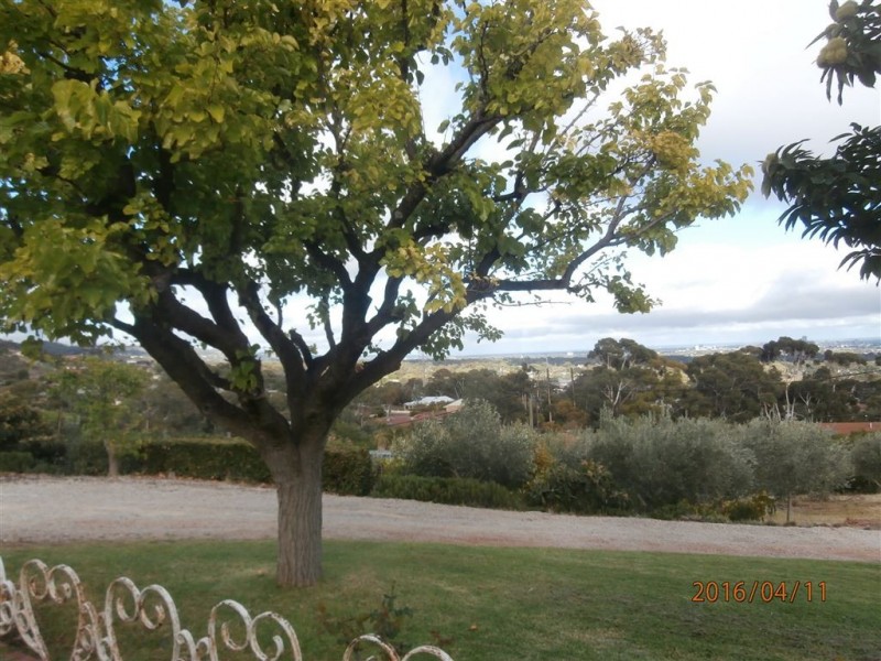 38 Norton Summit Road, Teringie SA 5072