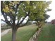 38 Norton Summit Road, Teringie SA 5072