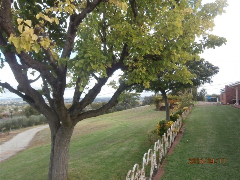 38 Norton Summit Road, Teringie SA 5072