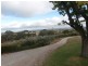 38 Norton Summit Road, Teringie SA 5072