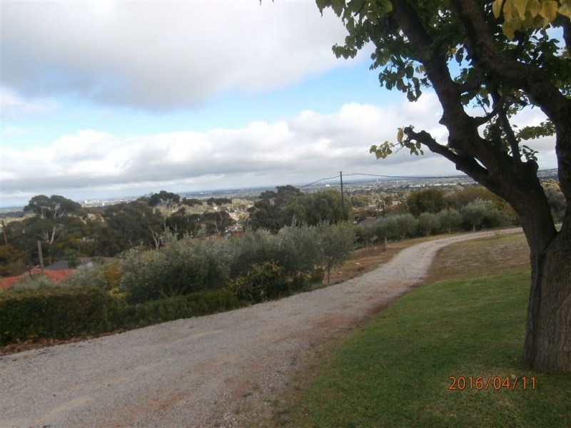 38 Norton Summit Road, Teringie SA 5072