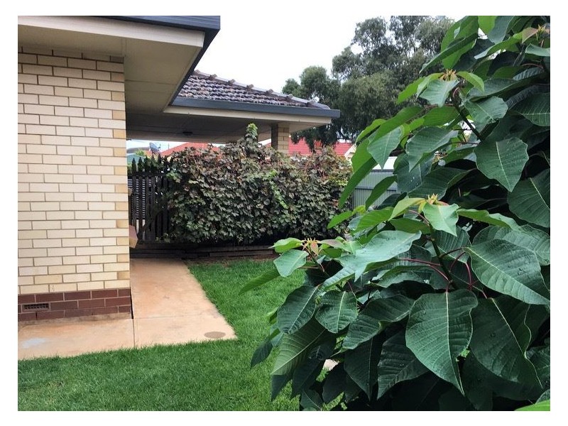 1/1 Zelda Ave, Glynde SA 5070