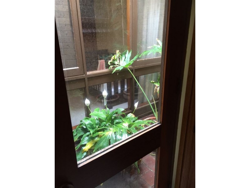 193 Barton Terrace West, North Adelaide SA 5006