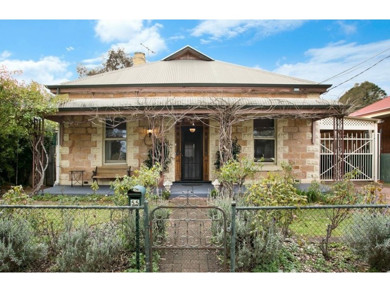 55 Castle Street, Parkside SA 5063