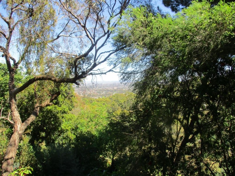 24 Blue Crescent, Woodforde SA 5072