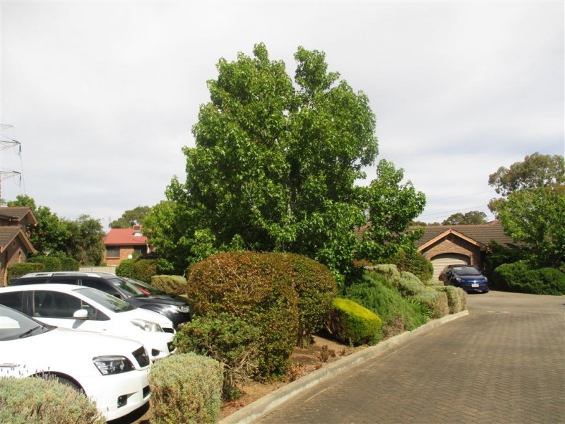 8/6 Sunglo Ct, Teringie SA 5072