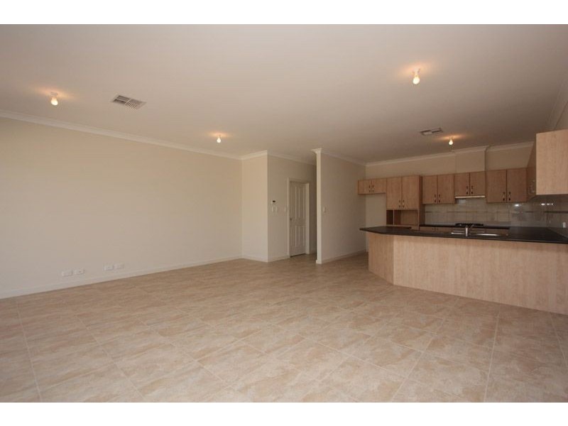 8 Livingstone Street, Glengowrie SA 5044