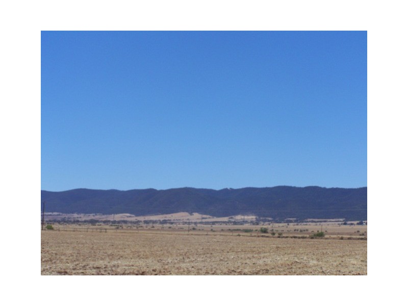 Lot 221 Highway One, Warnertown SA 5540