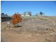 Lot 1 Henry Street, Auburn SA 5451