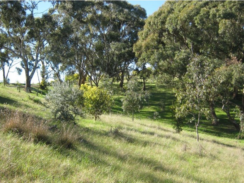 Lot 45 Norman Drive, Clare SA 5453