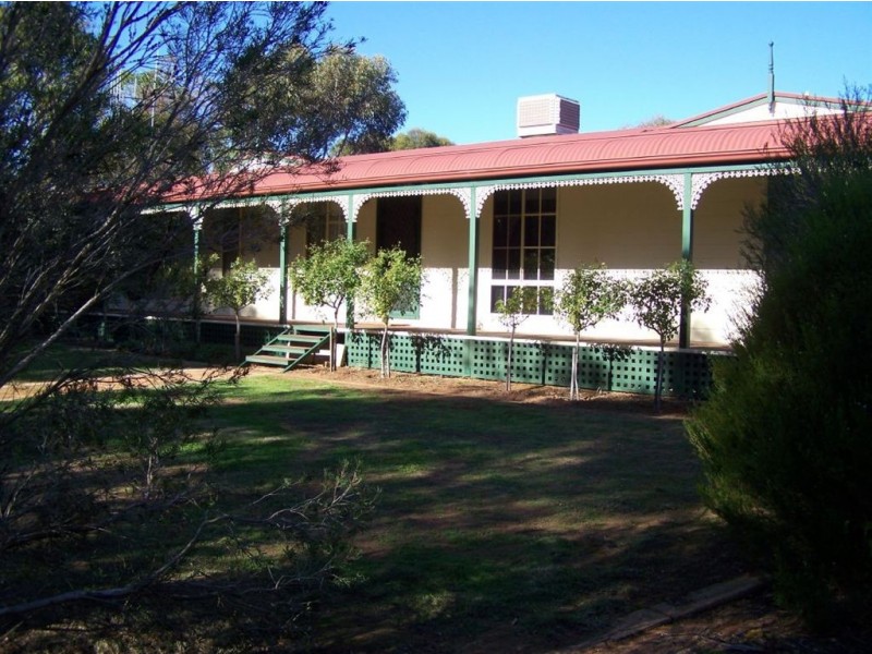 Lot 195 Bowman Street, Crystal Brook SA 5523