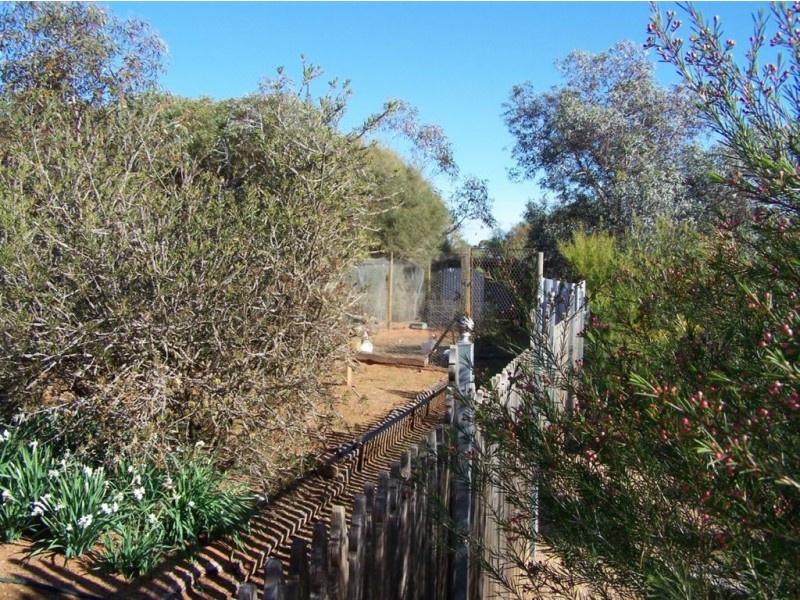 Lot 195 Bowman Street, Crystal Brook SA 5523