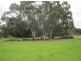 Lot 97 Washington Road, Riverton SA 5412