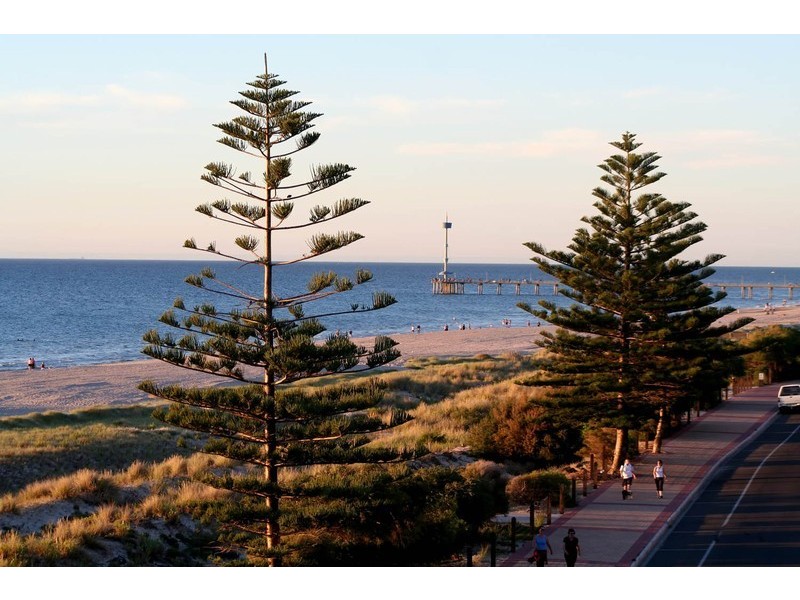 8 Ramsay Avenue, Seacombe Gardens SA 5047