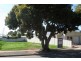 4A Lindley Avenue, Warradale SA 5046