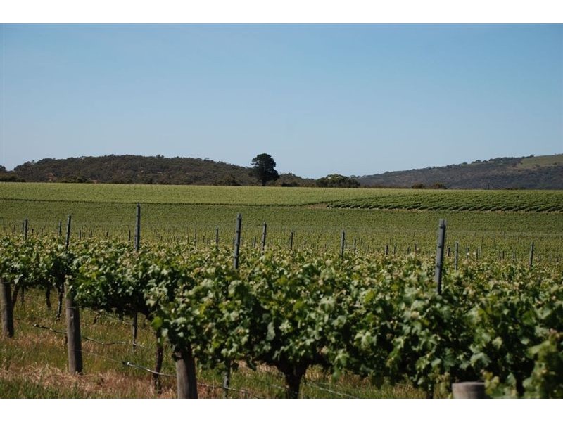 Mclaren Vale SA 5171