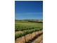 Mclaren Vale SA 5171