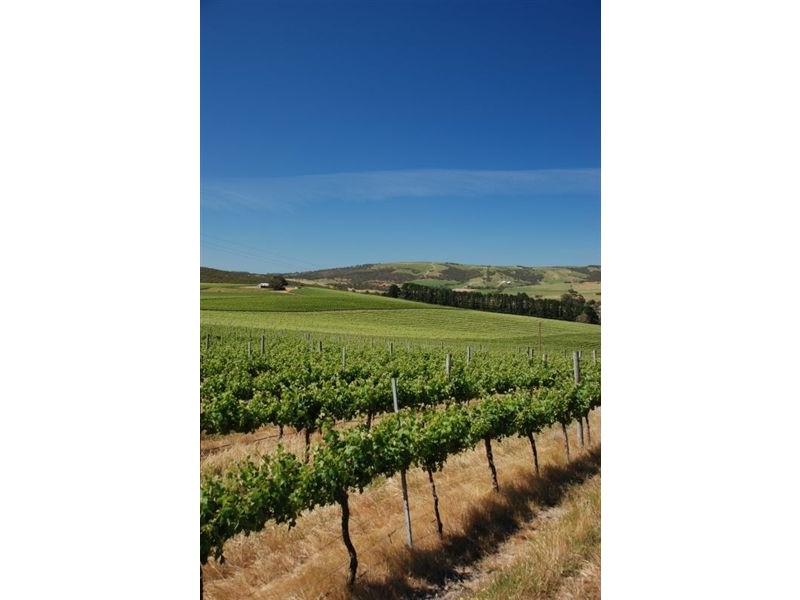Mclaren Vale SA 5171