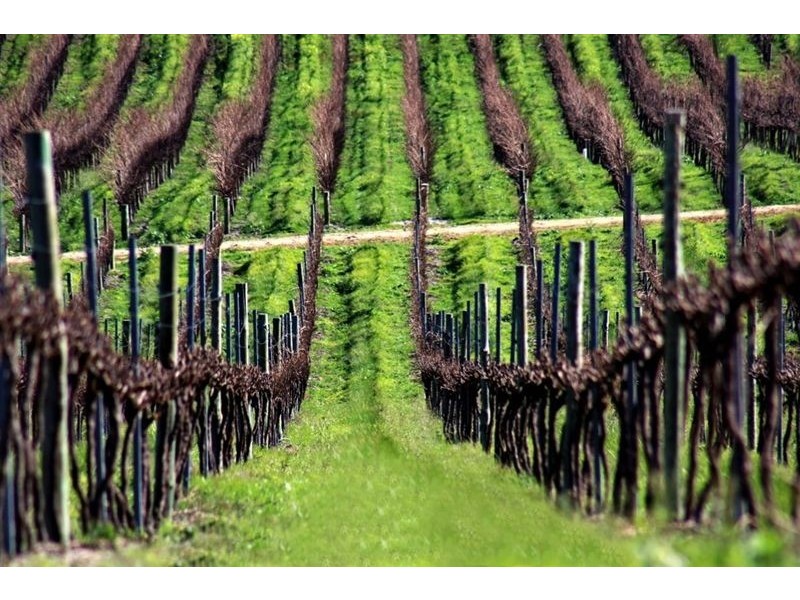 Mclaren Vale SA 5171