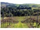 Mclaren Vale SA 5171