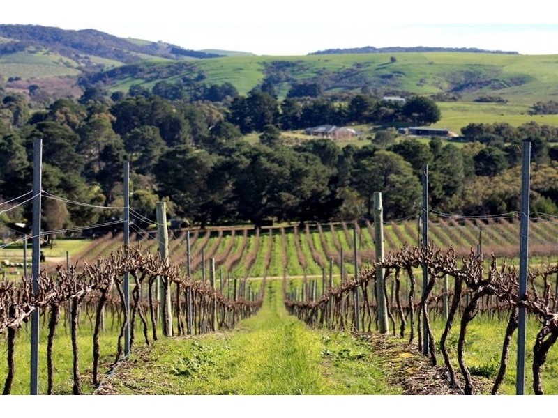 Mclaren Vale SA 5171