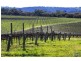 Mclaren Vale SA 5171