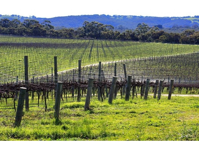 Mclaren Vale SA 5171