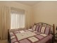 256A Diagonal Road, Oaklands Park SA 5046