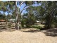 11 Whistler Grove, Flagstaff Hill SA 5159