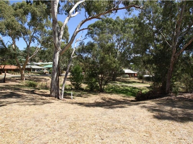 11 Whistler Grove, Flagstaff Hill SA 5159