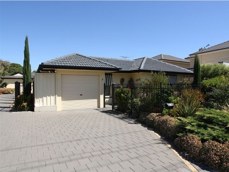 3 Richman Street, Oaklands Park SA 5046