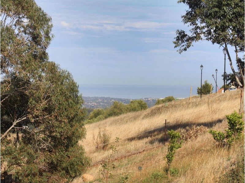 3A Kingsview Close, Happy Valley SA 5159